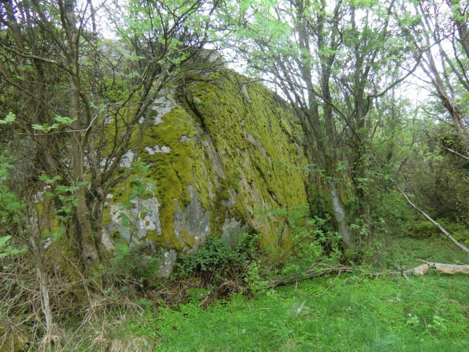 Uppdragsnr: 10153299 Reviderad: Kort 7 taget mot sydväst. Detaljplanens högsta bergskärning. L:\5250\Fastighetskontoret_Gbg\10153299 Lilleby\3_Dokument\36_pm\DEL 2_PM Planeringsunderlag-2013.docx 4.