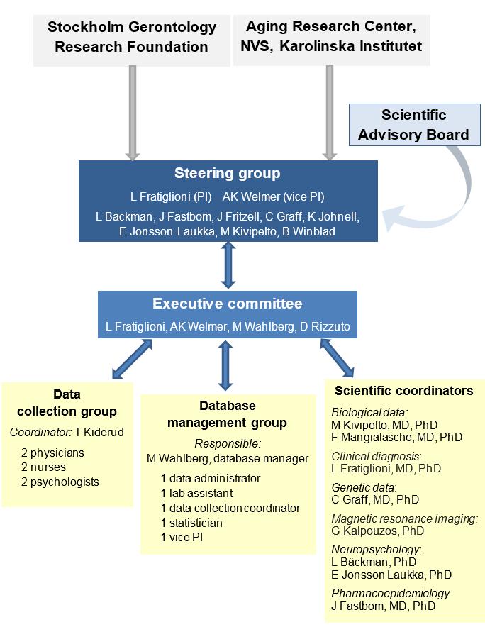 SNAC-K Befolkningsdelen Organisation Ledningsgruppen består av följande personer: Laura Fratiglioni (projektledare) neurolog, professor i medicinsk epidemiologi, expert på demens och andra