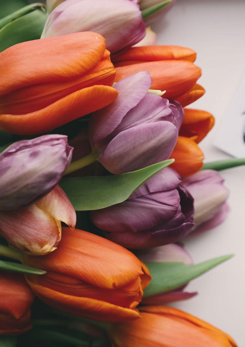 BLOMMOR
