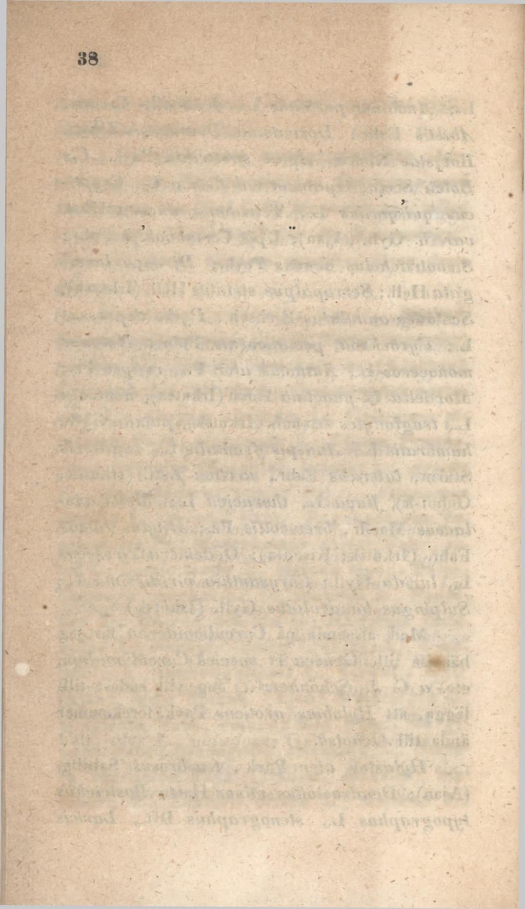 Fabr., geminatus Zett. (Irkutsk), nigritus Gyli.; Sphindus dubius Gyll. I Versuch einer mo7iogrcrphische?i JDarstellung der Käfergattungen Corticariu und Lathridius von Graf C. G. M annerheim\ införd i G ermars Zeitschrift fu r die Entomologie Tom.
