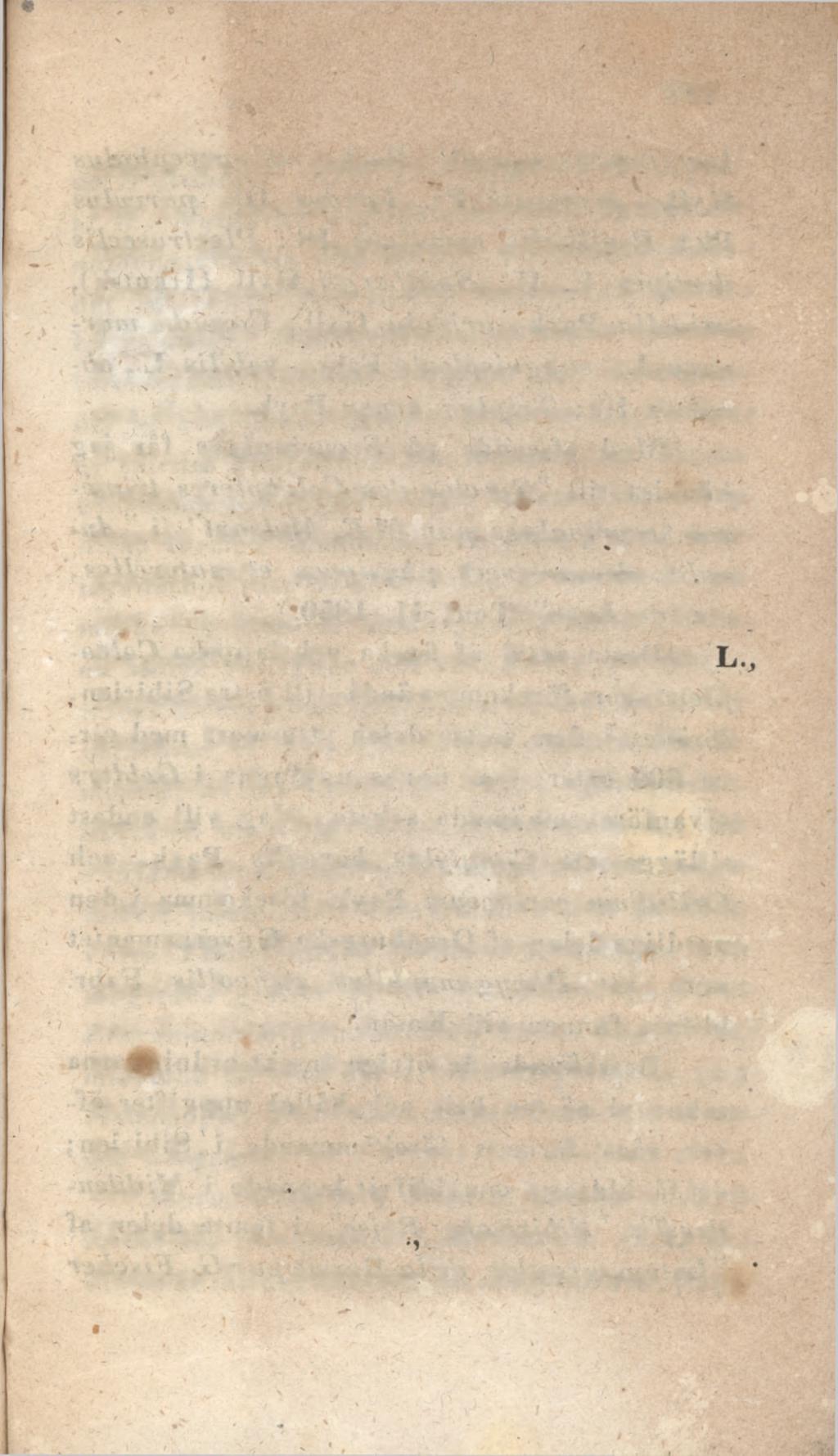 39 cincta Fabr.; Donacia dentipes Fabr., sericea L., Fennica Payk, (Kiachta); Syneta Betulae Payk.; Zeugophora subspinosa Fabr.; Lema cyanella L.; Labidostomis 5-dentata L.; Clythra 4-punctata L.