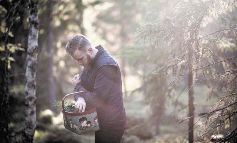Emil Åreng plockar ingredienser till sina drinkar i skogen. Foto: Sandra Lee Pettersson.