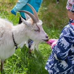 Fyra garanterat lärorika timmar för såväl barn som vuxna.