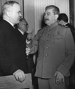 3 Engelska upplagan av Dimitrovs dagbok se not 2 nedan Natalja Lebedeva och Michail Narinskij är överens om att Stalin kan haft i tankarna att det kunde vara en nödvändig eftergift för Hitler,