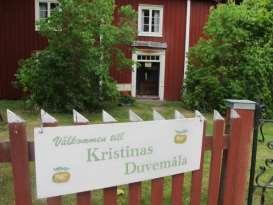 Innan var detta byns gemensamma gårdstun med brunnen mitt på.