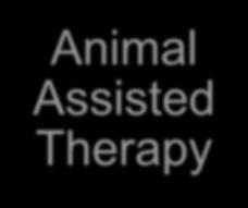 Fysioterapi vid autism, fortsättning Hästterapi Bra evidens self-regulation, socialization, communication, adaptive, and motor behaviors Gabriels RL et al. J AmAcad Child Adolesc Psychiatry.