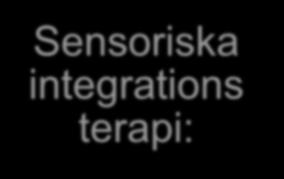 Fysioterapi vid autism, fortsättning Sensoriska integrations terapi: