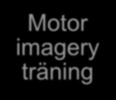 HA2018 DCD interventioner enligt metaanalyser Neuro Motor Task träning (NTT) Schoemaker MM, Niemeijer AS, Reynders K, Smits-Engelsman BC.