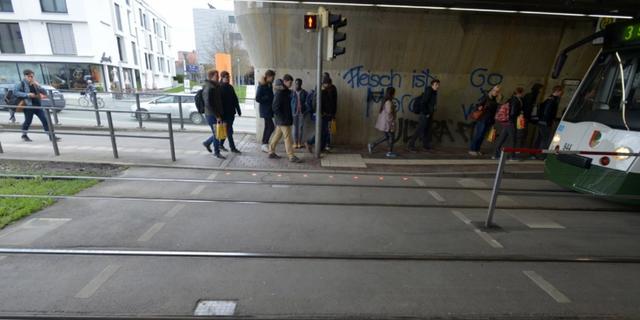 17(53) del av en signalreglering där övrig trafik har signaler med rött, gult eller grönt ljus.
