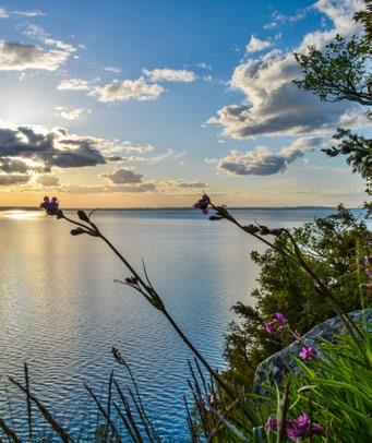 ....... 30 öpprocessen............... 32 Miljö................... 34 En trygg affär.