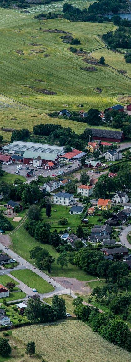 Naturen i området I Ekopark Omberg finns vandringsleder från 650 m som är anpassade för personer med rörelsehinder och synskador till en vandringsled om 3 mil som tar dig Omberg runt.