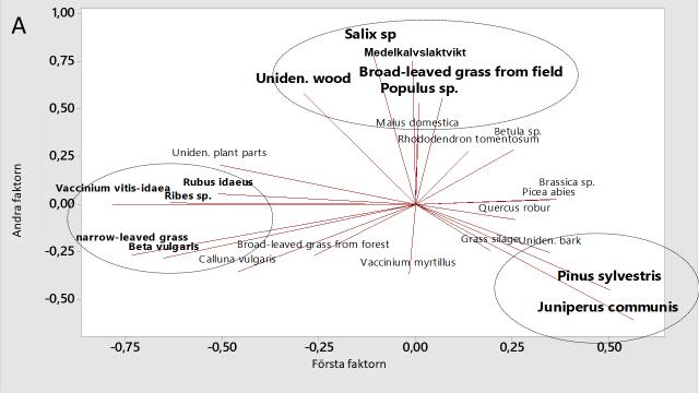 Ju längre en linje är desto starkare roll spelar variabeln i att förklara mönstret. Variabler med höga värden (loading values) är visade i fetstil, och illustrerar tre distinkta diettyper (cirklar).