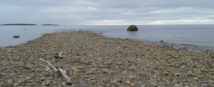 utmaningar Motstående intressen, konflikter Världsnaturarven Kraftöverföring