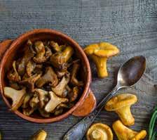 69:9 0 Handskuren smörsopp, ostronskivling, golden nameko, shiitake