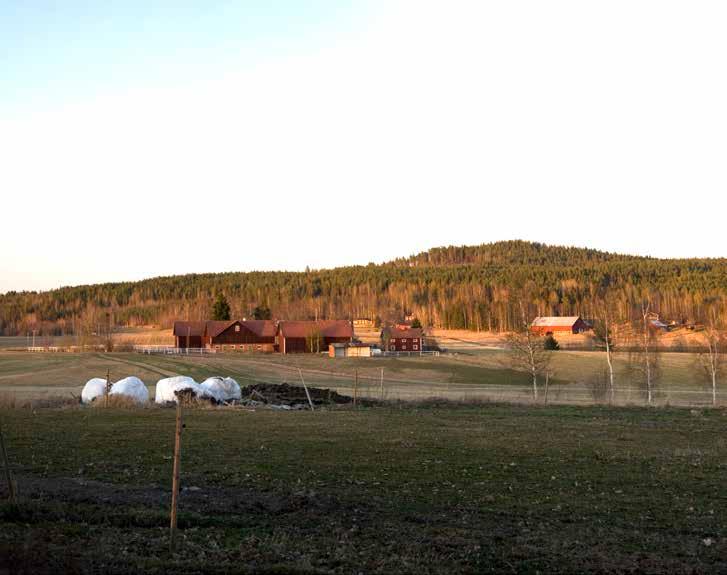 Tidig dialog i strategiska livsmedelsupphandlingar En beskrivning av upphandlingssamverkan mellan Borlänge, Falun, Gagnef, Hedemora, Ludvika och VBU, Smedjebacken och Säter.