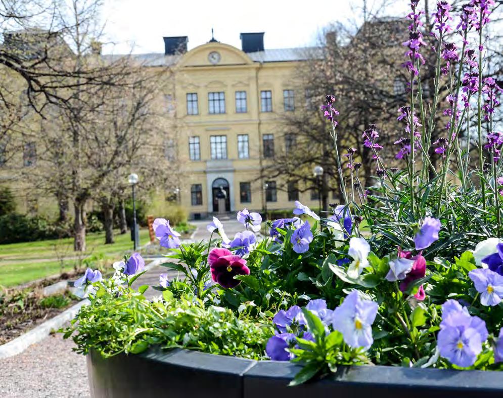 falun.se/ Parkingenjören Sara Jaderyd gillar kreativiteten som krävs för att arbeta med växter och växtlighet.