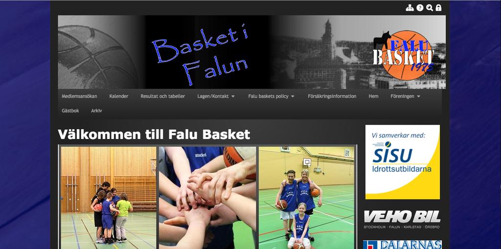 Gull (personlig kommunikation 28 februari 2017) upplevs den befintliga hemsidan som omodern (se figur 3).