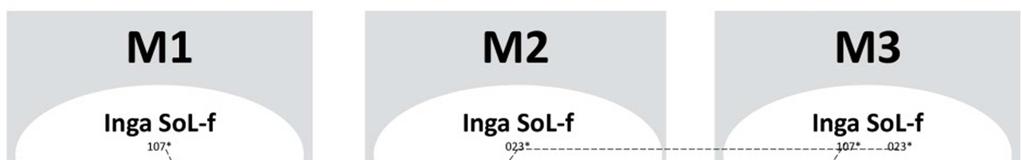 Figur 3a.