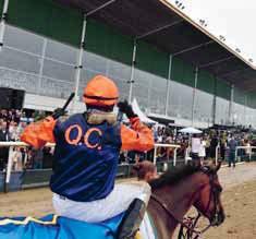 Reppin-Reflected Glory/Relko 1987 LINARDO Stall PM Stall PM Bengt Bengtsson Steve Cauthen h Lido-Linaria/Arjon 1988 SCOOP (DEN) Elo Ervolder A/S Stall Scoop Bengt Bengtsson Serge Vaché s