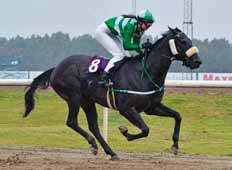 Hans Adielsson George Baker 2013 PROUD POSSIBILITY (USA) Stall Bonne Nuit Niels Petersen Fredrik Johansson 2014 STARING AT THE SEA (IRE) Stall EOS Wido Neuroth Jan-Erik Neuroth 2015 MRS LOREEN Stall