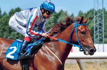 Fredrik Otter presenterar startfälten i storloppen Zawawi Cup (Gr3) Zawawi Cup (Gr3) har samlat hela den skandinaviska sprinteliten samt en spännande gäst från Storbritannien.