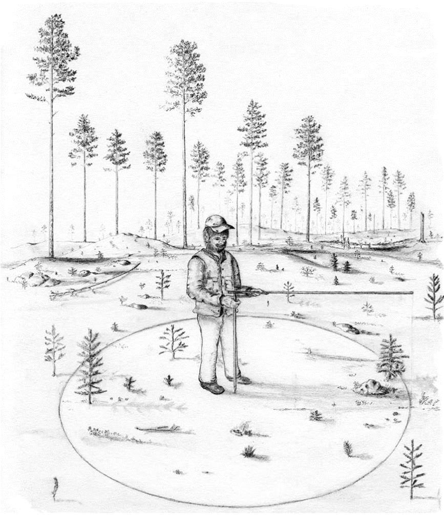 Figur NF58 Återväxtinventering. Teckning Jerry Boberg. Hjälpåtgärder Återväxtinventeringen visar om man har lyckats etablera ett godkänt plantbestånd.
