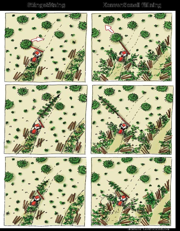Figur NF63 Illustration av stångstötning och konventionell fällning. Stångstötning innebär att trädet fälls med toppen in mot stickvägen.