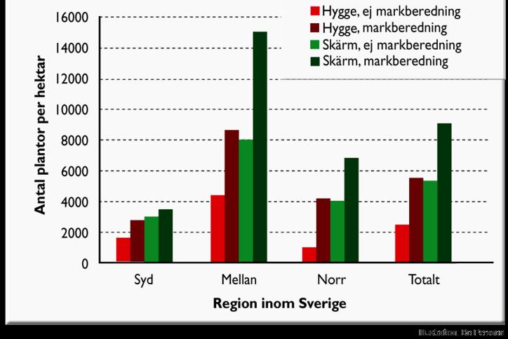 Figur NF65 Antal naturligt föryngrade tallplantor per hektar 5 år efter markberedning (18 försökslokaler).