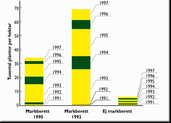 Figur NF24 Effekten av markberedning första hösten (1990) respektive tredje hösten (1992) på plantbildningen av tall efter föryngringsavverkning samt effekten av att inte markbereda.