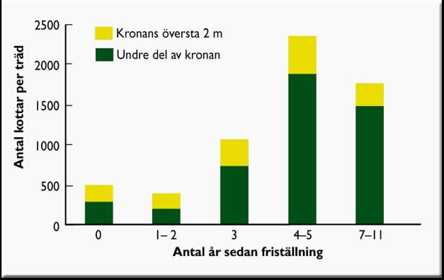 Ökad kemisk vittring i mineraljorden, främst på våren och försommaren, på grund av ökad marktemperatur, markvattenhalt och en aktiverad mikroorganismflora.