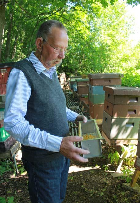 Intervju med Per-Enar Hammarstrand, medlem i Solivind El Ekonomisk Förening: Det är naturligt att ta tillvara på det som finns i naturen.