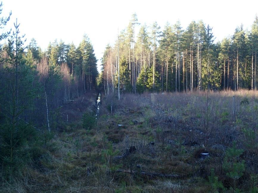 1 Närpes Hedet - Björkliden