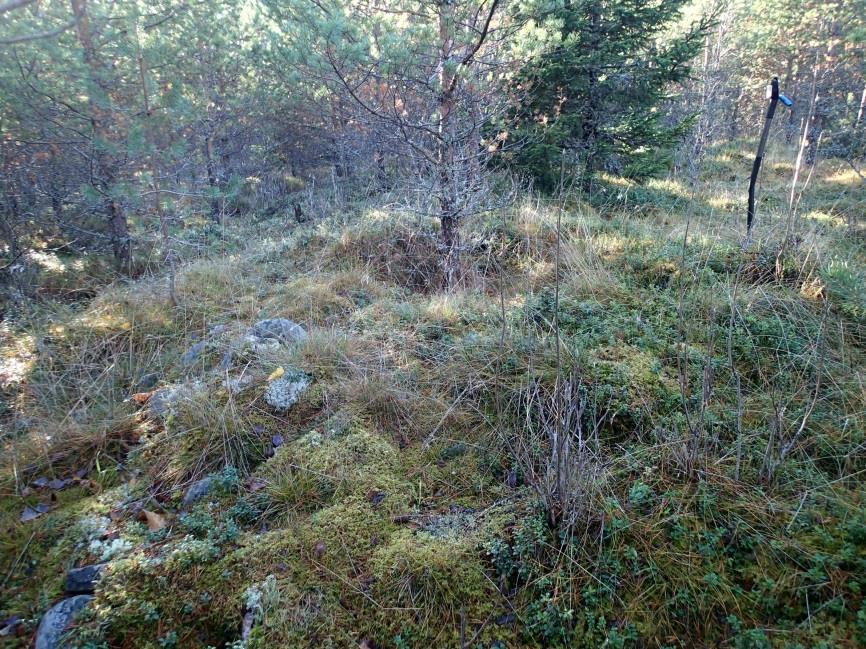 10 Röse 5 2 NÄRPIÖ (NÄRPES) ÄNGSBY Fornlämning: - Värdekl: fast fornlämning Datering: Kategori: historisk tid