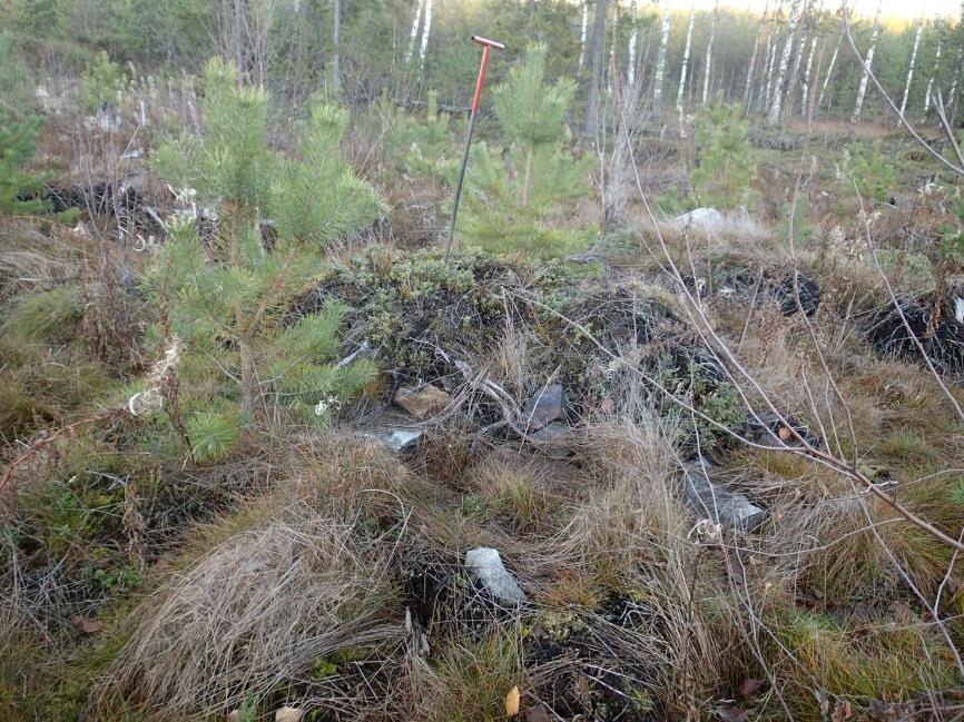 12 Tjärgrop och spislämning markerade med en blå