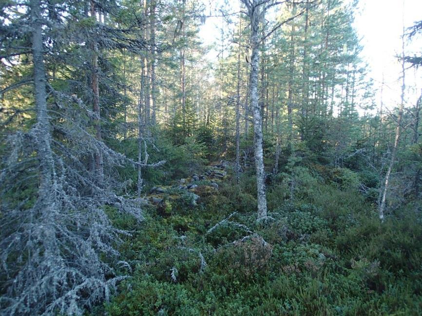 15 Stensättning