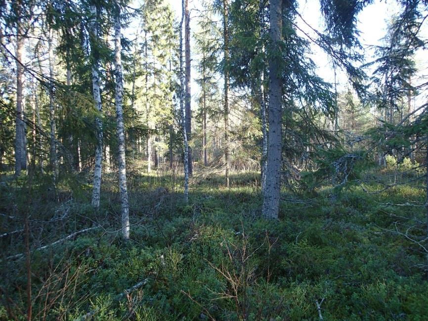 Detta kan göras genom att inte placera linjestolpar i närheten av tjärgropen och markera objektet tydligt med band så att det ligger skyddat från all påverkan.
