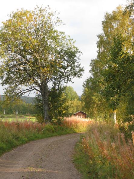 6. Biosfärområde Planeringsläget Delar av Ovanåkers kommun kan komma att bli ett biosfärområde. Arbetetsnamnet är i nuläget Ovanåkersbygden med Voxnan och fäbodskogen.