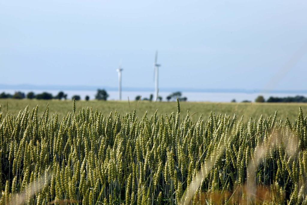 Fokusområde Energi och klimat Klimatförändringarna är en av vår tids största utmaningar och en av de högst prioriterade miljöfrågorna.