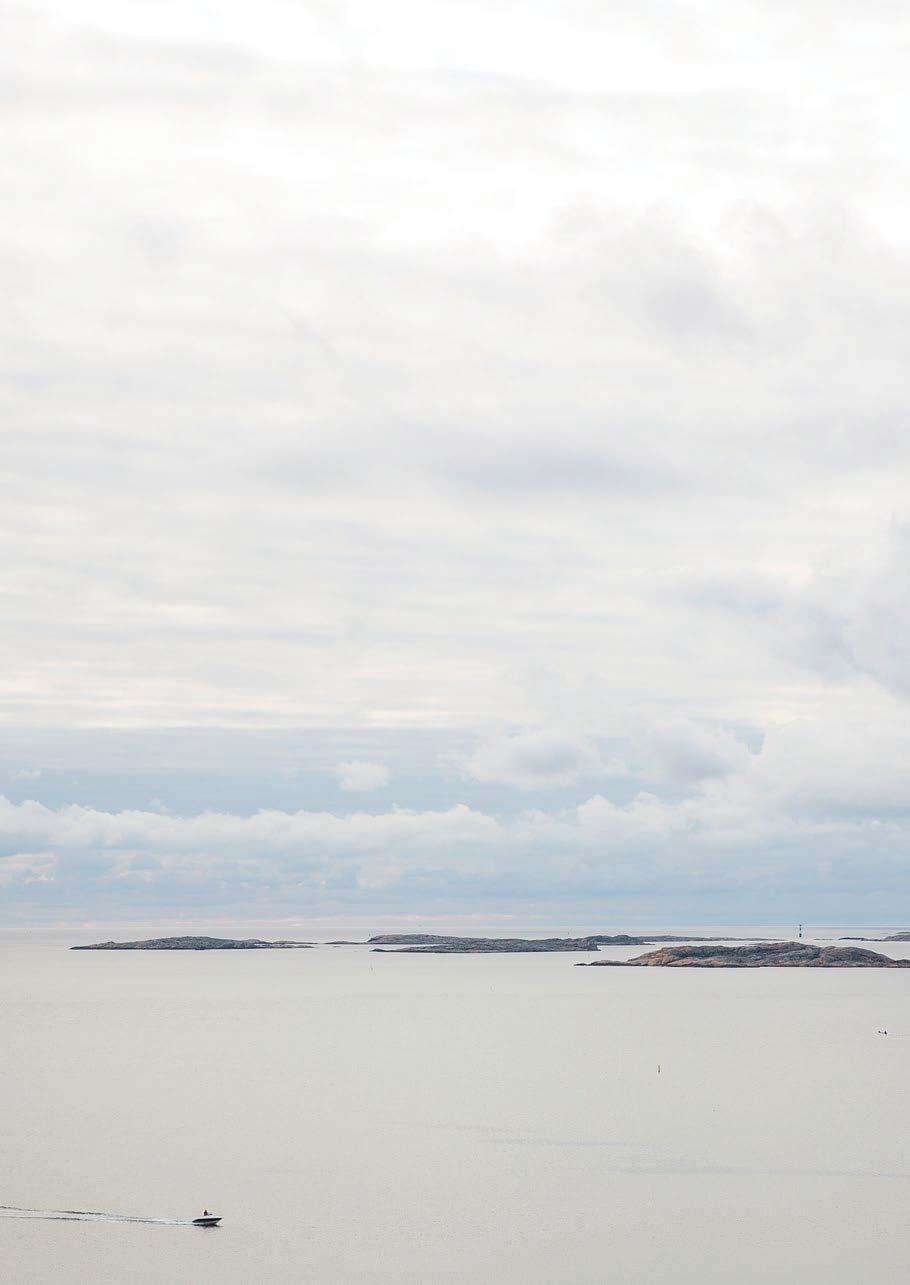 Teman I det här kapitlet beskrivs de många intressen som finns i havet.