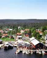Movikens Masugn anlades vid Norra Dellens strand och togs i drift 1797. Storhetstiden var mellan 1827 och 1856. Masugnen byggdes om på 1860-talet och 1903 ersattes den gamla ugnen av en helt ny.