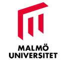 Gudrun Malmers stiftelse Digitala lärresurser och hur de kan användas i