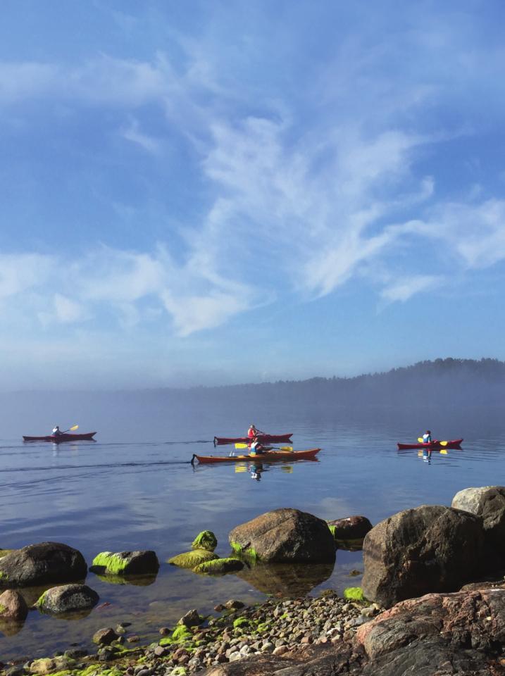VAXHOLM FROM THE WATER PADDLE, SWIM, SAIL OR BOAT? It is a very special feeling to glide in silence, close to the water s surface, getting close to both animals and nature.