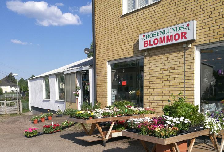 000 SEK / Mån Snittkassa 11 000 SEK / Dag Bransch: Övrigt Ort: Hovmantorp, Lessebo, Kronoberg Begärt pris: Ring för info!