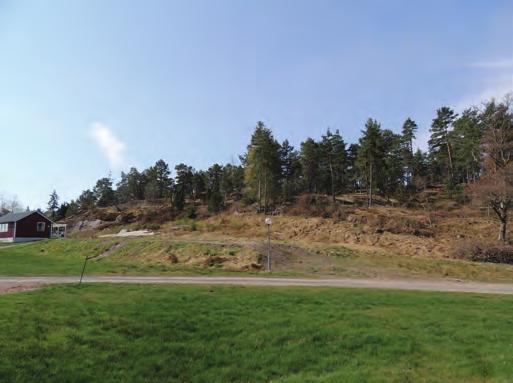 På tomten finns ett berg med fantastiska möjligheter för ett framtida hus.
