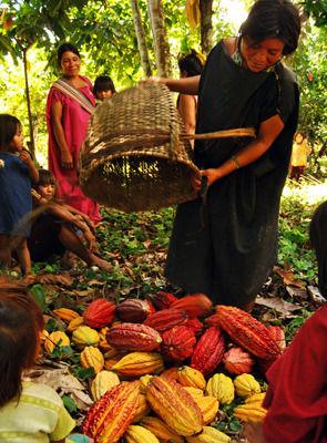 Peru, krämiga raw hasselnötter och sötad med koncentrat av ekologisk
