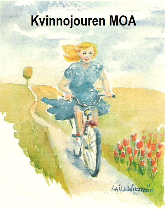 Verksamhetsberättelse 2017