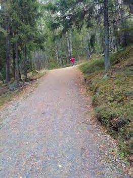 Stigen genom parken är bred och underlaget bra (bild 12). Bild 12: Väg genom parken vid Norsborgs gård Gångstigen på Mälarpromenaden är bred med bra underlag.