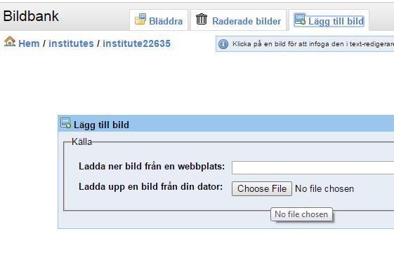 Dessa program innehåller nämligen formateringar vilket gör att resultatet på sidan inte visas korrekt.