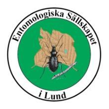 Kävlinge, Lund, Lomma,