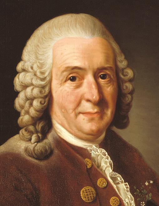 Carl von Linné (1707-1778) Västgötaresan, 1746 Fyra typer av hufwudsvaga barn bland 23